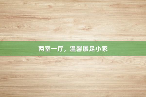 两室一厅,温馨餍足小家